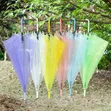 Mwavuli wa Translucent - 1