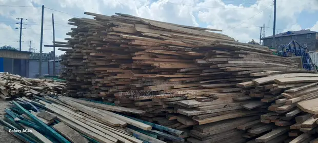 Moisture Content in Wood - 1
