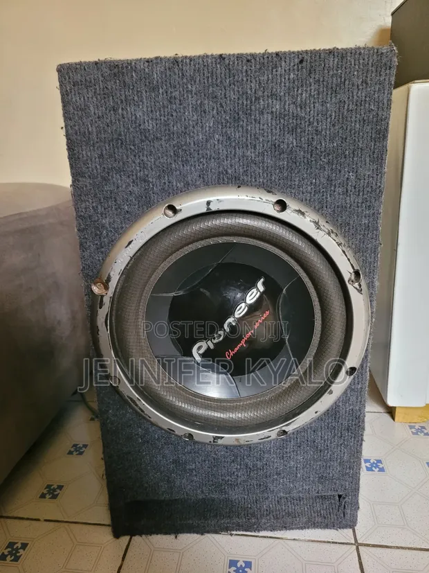 Pioneer Champion Series Subwoofer - 1