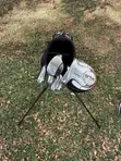 Walter Hagen XLR Set ya Golf ya Mkono wa Kulia - 5