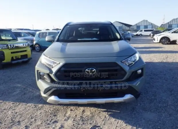 Toyota RAV4 LE AWD 2019 - 1