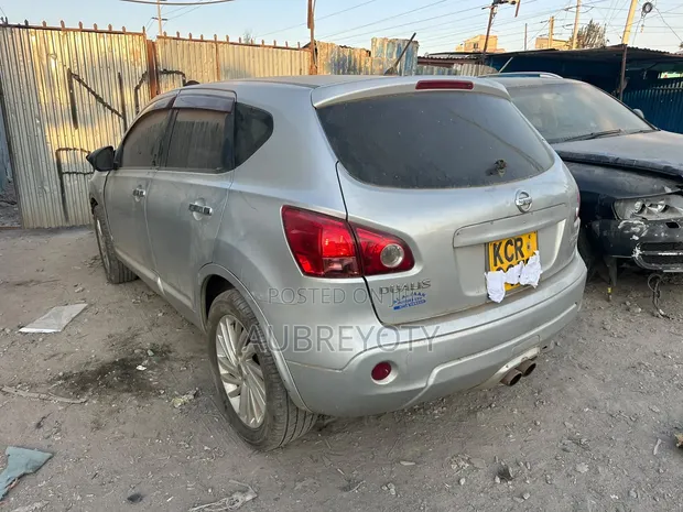 Nissan Dualis 2013 Silver - 1