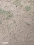 Maanzoni Baada ya Simba Cement: Eneo la Eka 2 za Biashara Mbaroni Mombasa Road - 2