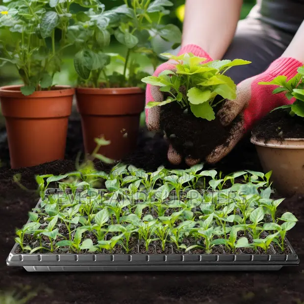 Seedling Trays for Experienced Growers - 1