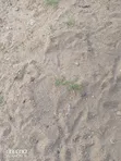 Maanzoni Simba Cement Eka 2 za Kupangisha - Barabara ya Mombasa - 1
