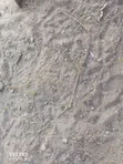 Maanzoni Simba Cement Eka 2 za Kupangisha - Barabara ya Mombasa - 2