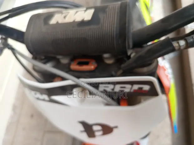 KTM 250 EXC 2019 - 1