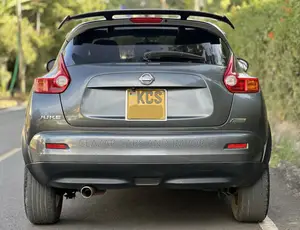 Nissan Juke S 2011 Kijivu