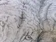 Kindred Kings Graphite Pencil Drawing - 2