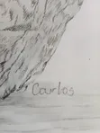 Kindred Kings Graphite Pencil Drawing - 3
