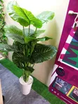 Artificial Zebra Plant - 1