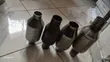 Brand New Catalytic Converter/Muffler - 2