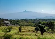 Prime Plot for Sale in Mweiga, Nyeri County - 3