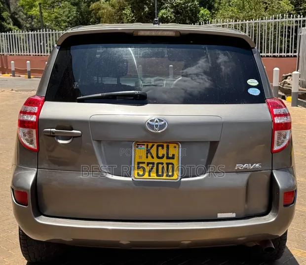 Toyota RAV4 2010 Gray - 1