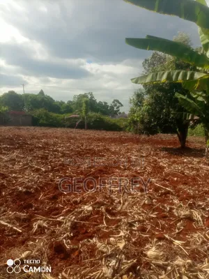 1/2 Acre Land for Sale in Kiukenda, Kiambu County