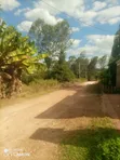 1/2 Acre Land for Sale in Kiukenda, Kiambu County - 2