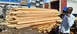 Golden Wood & Products - 2