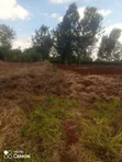 Eka 1 ya Ardhi ya Makazi Inauzwa Kiukenda, Kiambu - 1
