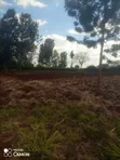 Eka 1 ya Ardhi ya Makazi Inauzwa Kiukenda, Kiambu - 2