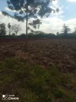 Eka 1 ya Ardhi ya Makazi Inauzwa Kiukenda, Kiambu - 3