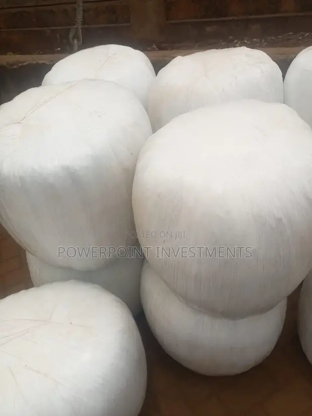 Premium Full Corn Silage - 1