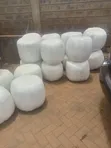 Premium Full Corn Silage - 2