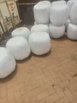 Premium Full Corn Silage - 5