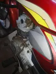 TVS HLX Plus ES 2024 Nyekundu - 3