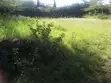 Vipande vya Robo Ekari kwa Uuzaji Ongata Rongai - 4