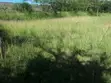 Vipande vya Robo Ekari kwa Uuzaji Ongata Rongai - 5