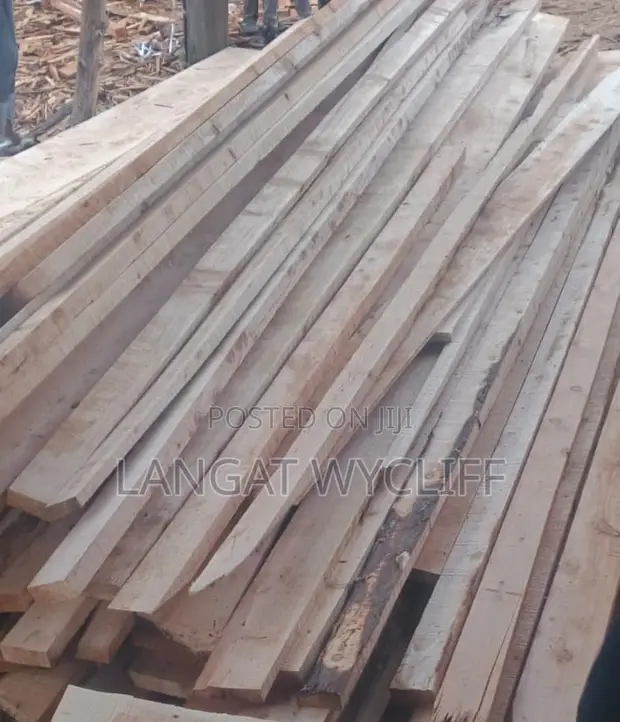 Prime Wood Suppliers - 1