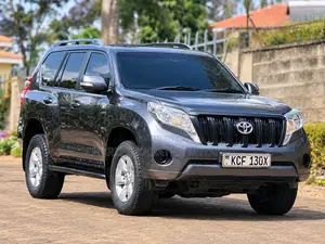 Toyota Land Cruiser Prado 3.0 D-4D 2015 Grey