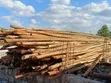 Timber Shutter Props - Wholesale & Retail - 2