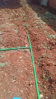 Diamond Spear: Drip & Sprinkler Irrigation System Installation - 4