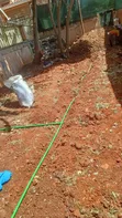 Diamond Spear: Drip & Sprinkler Irrigation System Installation - 5
