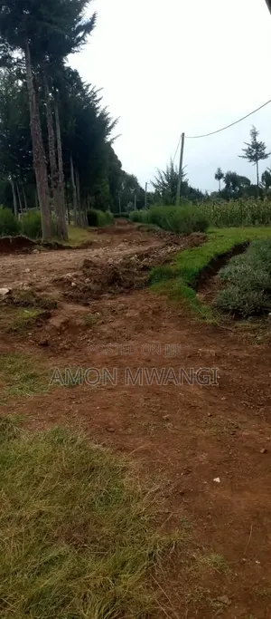 Prime Commercial Plot in Cyrus, Eldoret