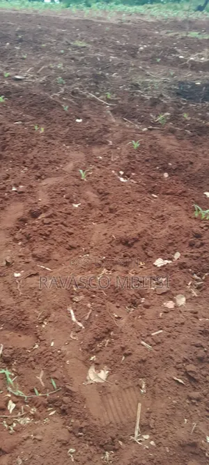 13 Acres for Sale in Kilifi Kakanjuni Sokoke