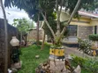 Bungalow ya Vyumba 3 Inauzwa Nkoroi - 5
