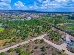 Orchard Gardens for Sale in Kinanie
