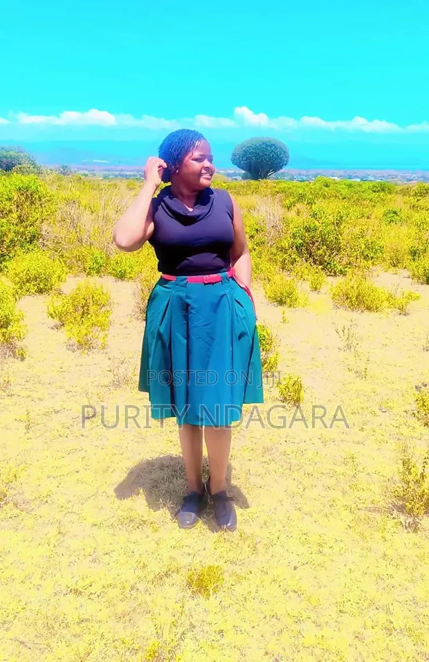 CV ya Afisa Mauzo na Masoko - 1