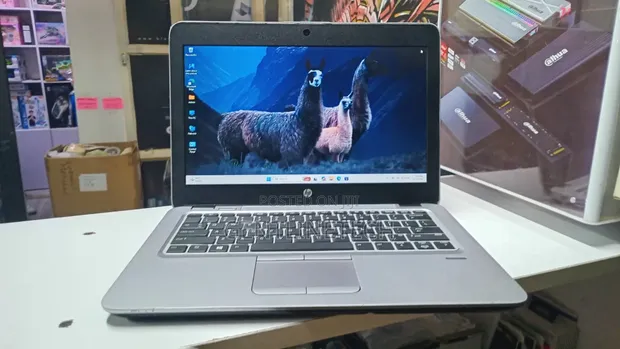 HP EliteBook 820 G3 Laptop - Core i5, 4GB RAM, 128GB SSD - 1