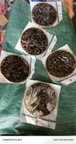 Vipozaji vya Mapambo vya Mviringo 5pcs Vilivyotiwa Marumaru na Dhahabu - 2