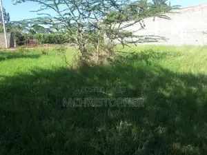 Quarter Acre Plots for Sale in Ongata Rongai, Maasai Lodge