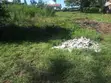 Vipande vya Robo Ekari kwa Uuzaji Ongata Rongai, Maasai Lodge - 2