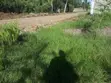Vipande vya Robo Ekari kwa Uuzaji Ongata Rongai, Maasai Lodge - 4