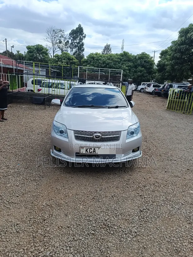 Toyota Corolla Fielder 2008 Silver - 1