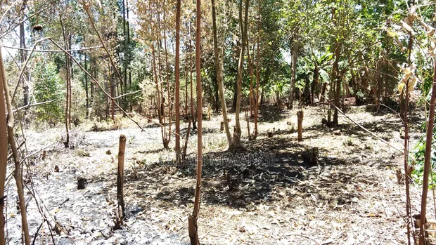 Eneo Bora kwa Uuzaji - Makuyu, Murang'a - 1