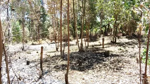 Eneo Bora kwa Uuzaji - Makuyu, Murang'a