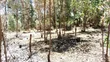 Eneo Bora kwa Uuzaji - Makuyu, Murang'a - 1
