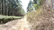 Eneo Bora kwa Uuzaji - Makuyu, Murang'a - 2